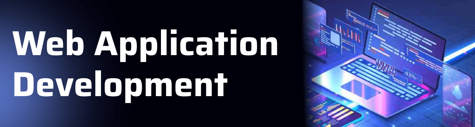 Web application development services